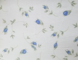 azzurra-con-particolari4